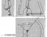 Pracovní diagram